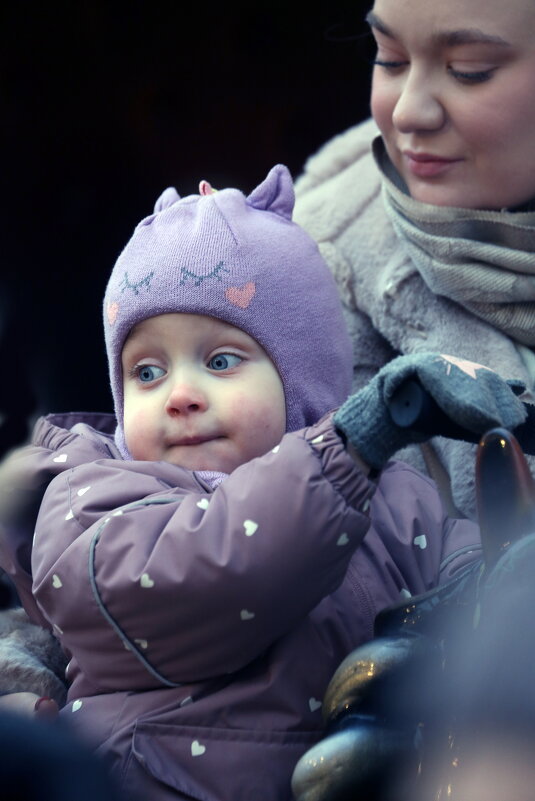 Карусель. 21 декабря - Михаил Бибичков