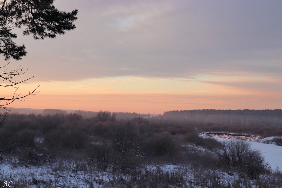 Зимнее утро - Любовь Сахарова