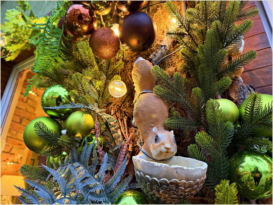 На улочках Зеленоградска. - Валерия Комова