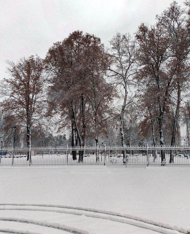 *** - Валентина Береснева