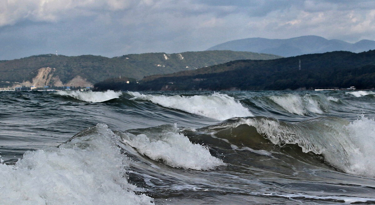 ....ветреный день... - Александр Герасенков