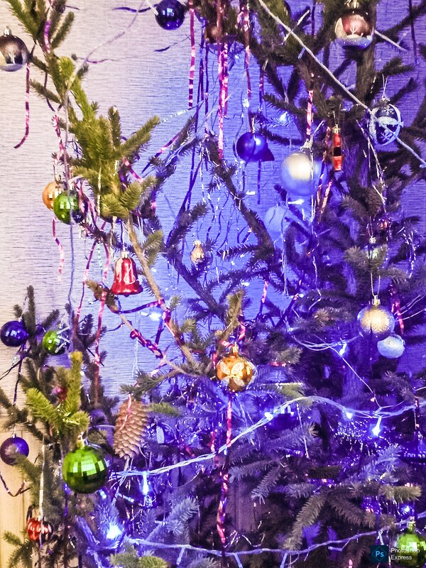 Новогодняя ель - Юлия Денискина