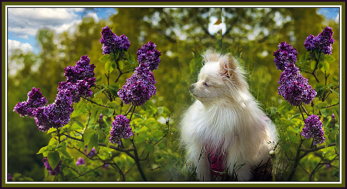 Что же там происходит? - Владимир Кроливец