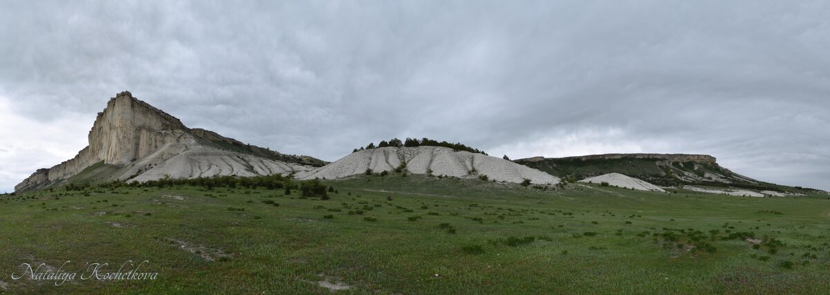 Природа Крыма - Amazing Cosmea