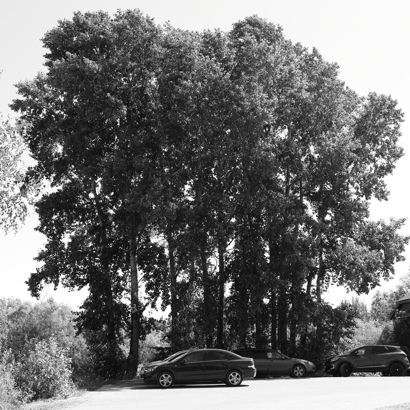 Фотография - Денис Безногов