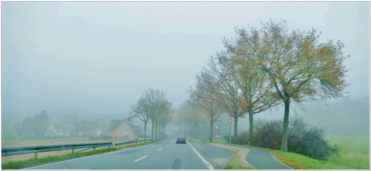 ТУМАН... - Elvira E. 