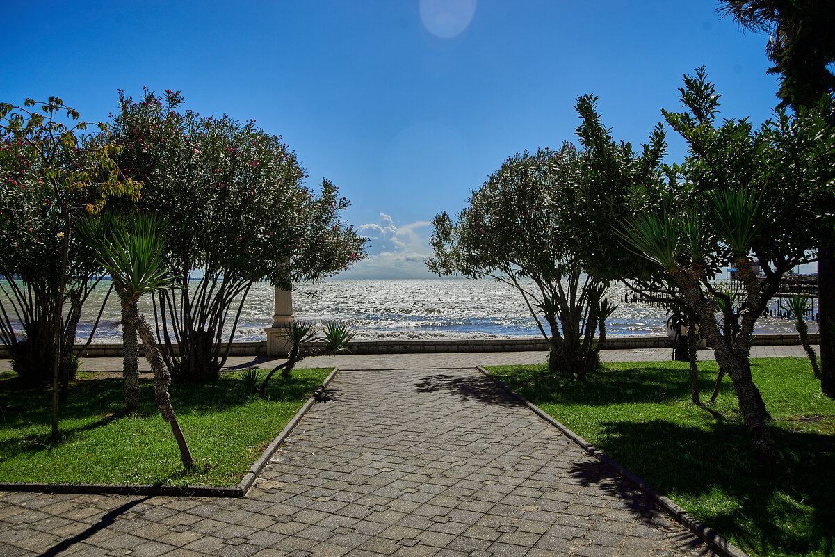 красота - Александр Леонов