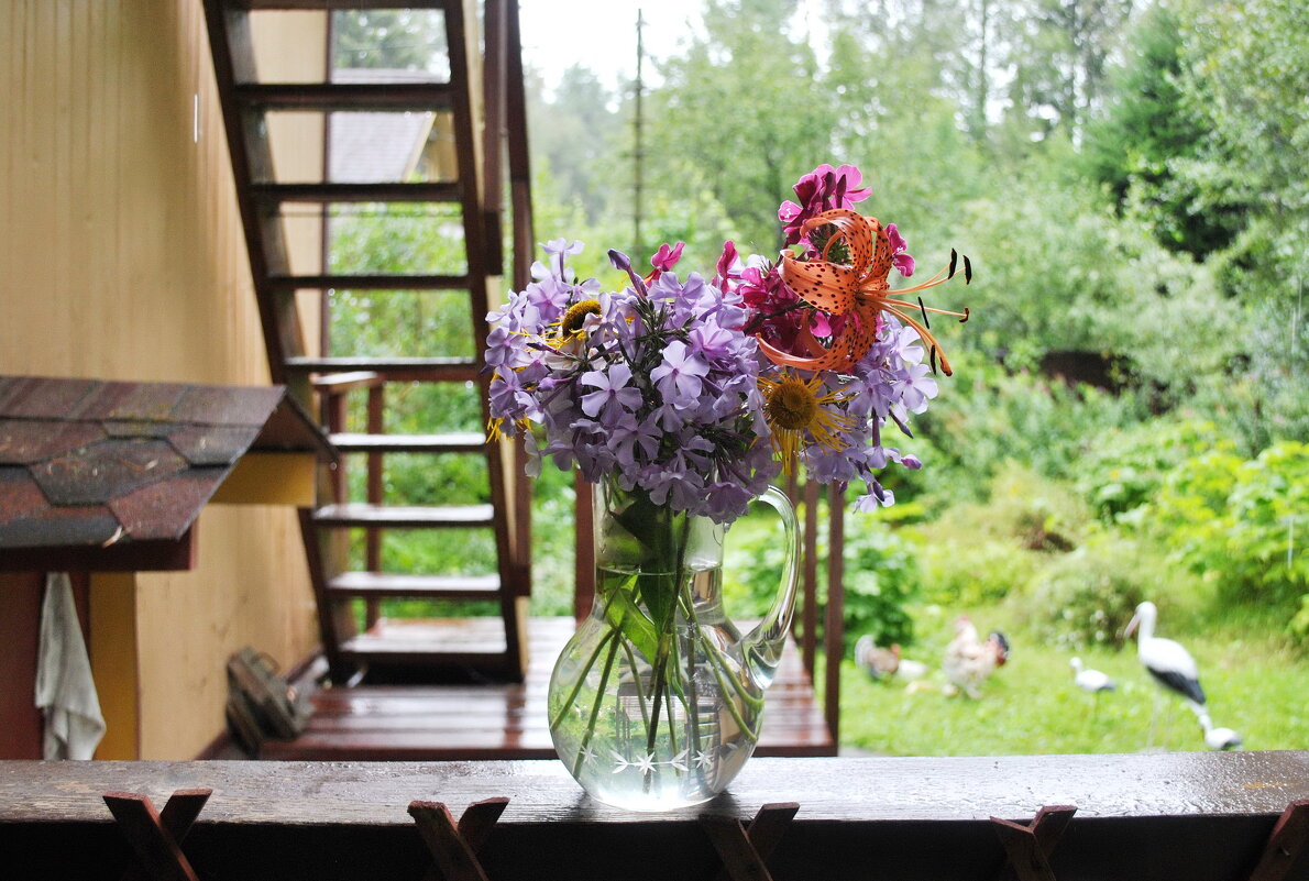 У природы нет плохой погоды? - AleksSPb Лесниченко