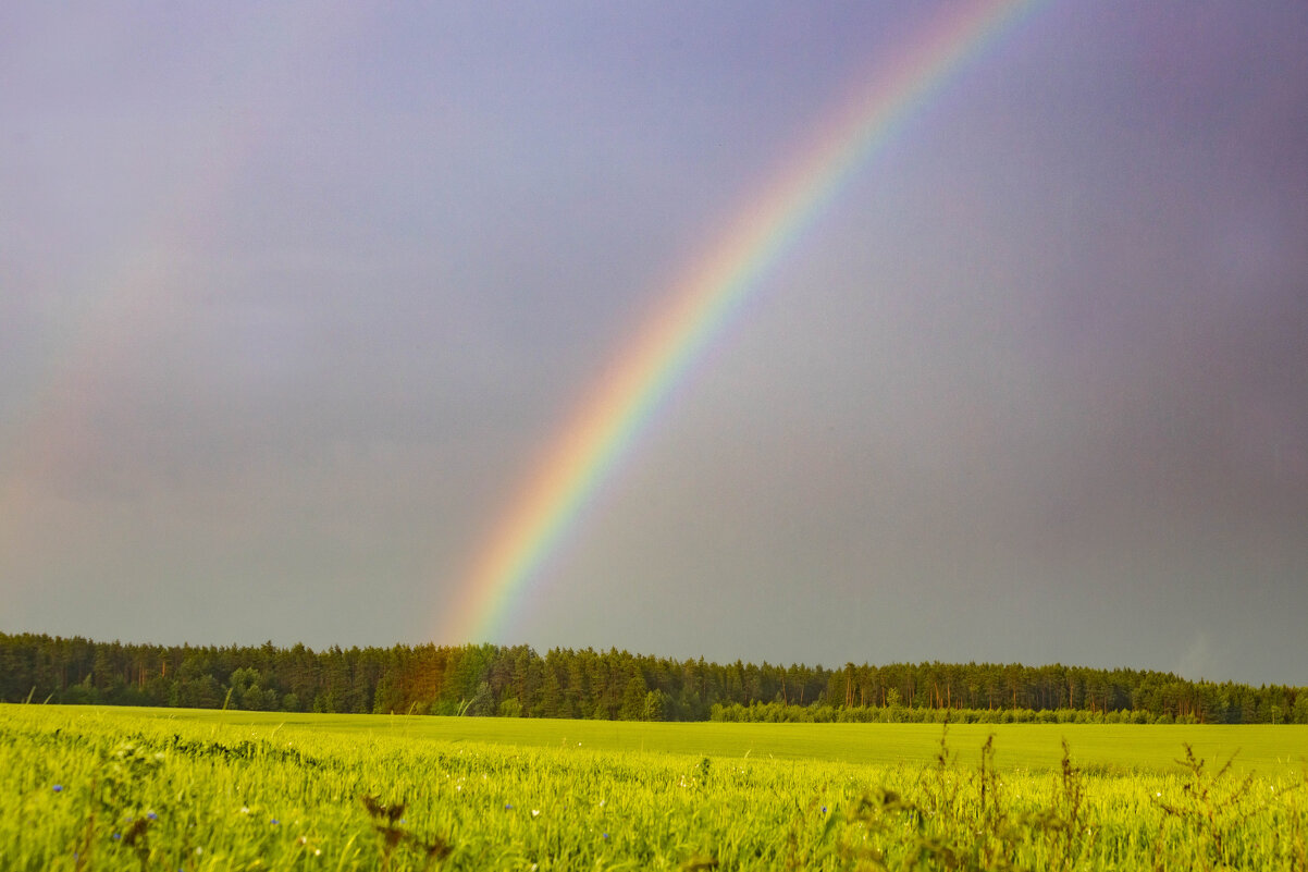 РАДУГА - Екатерина Счасная