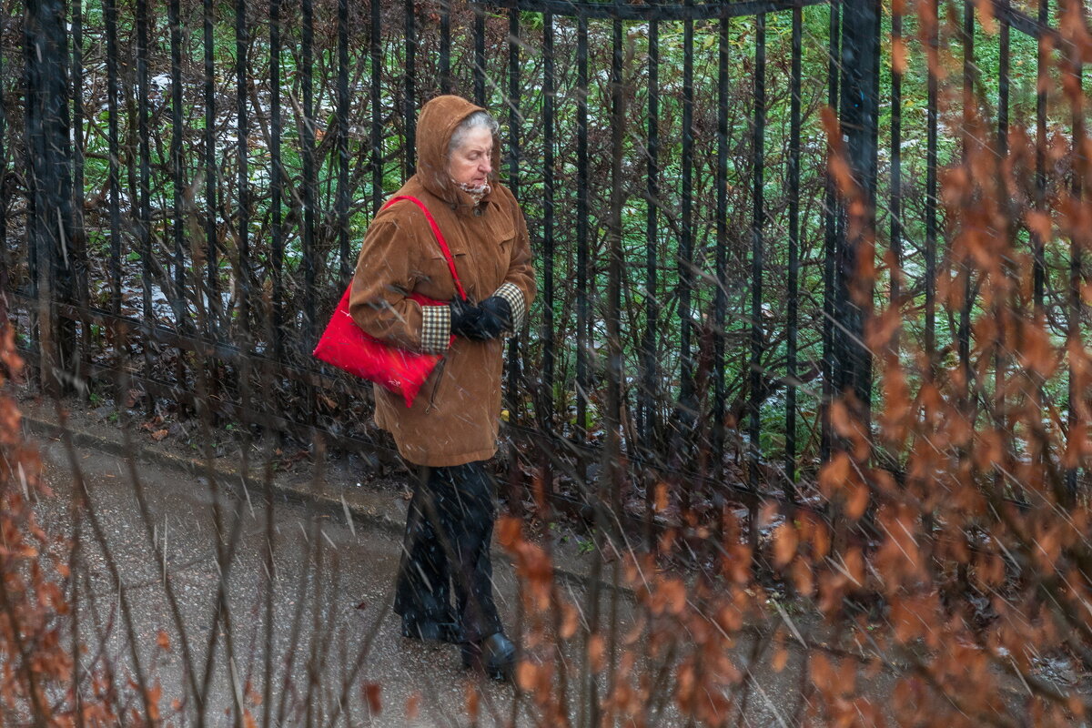 Снег в спину. - Анатолий. Chesnavik.