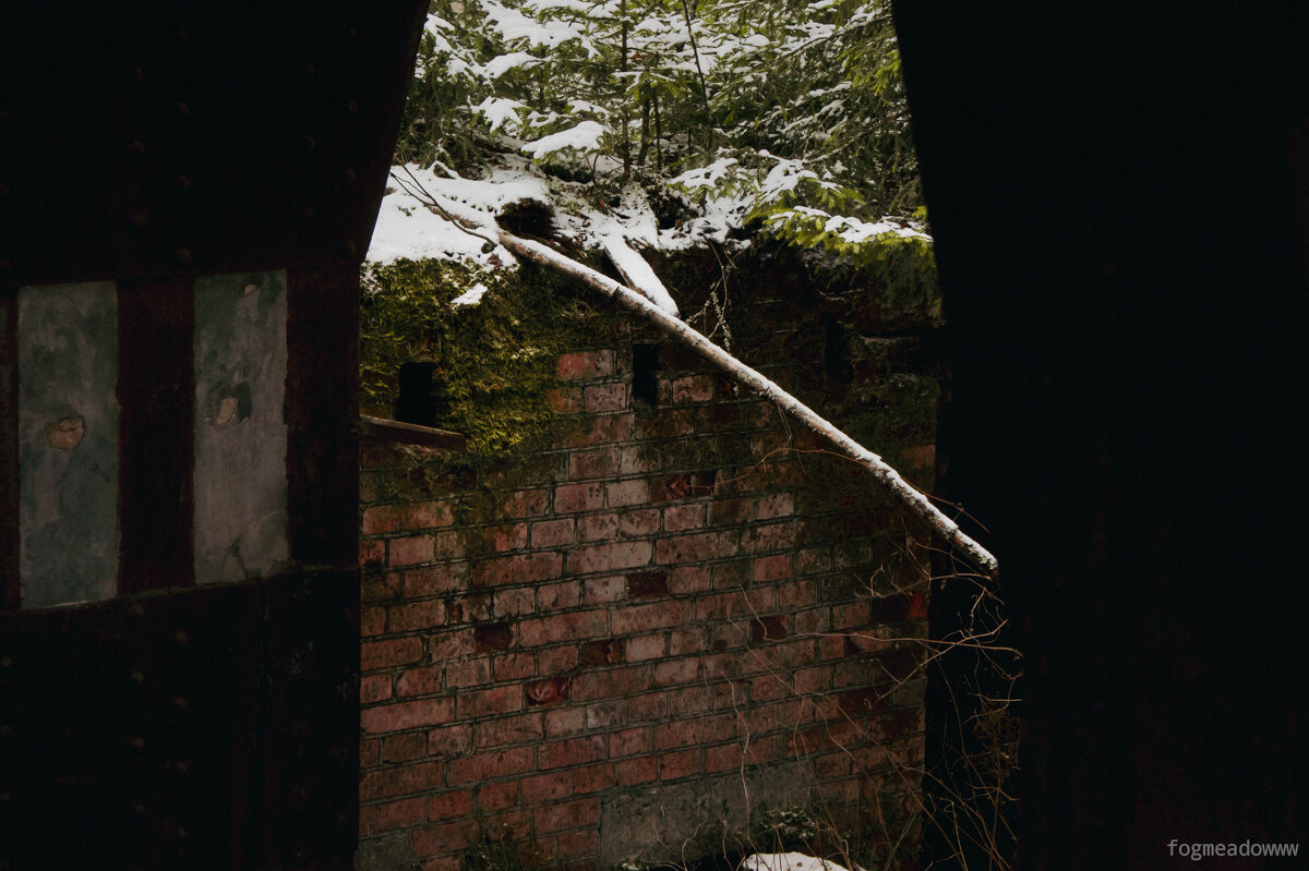 мох на кирпиче - fogmeadowww m