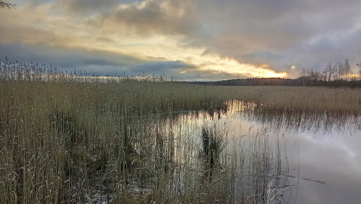 *** - Ольга Попова (popova/j2011) *** - Ольга Попова (popova/j2011)