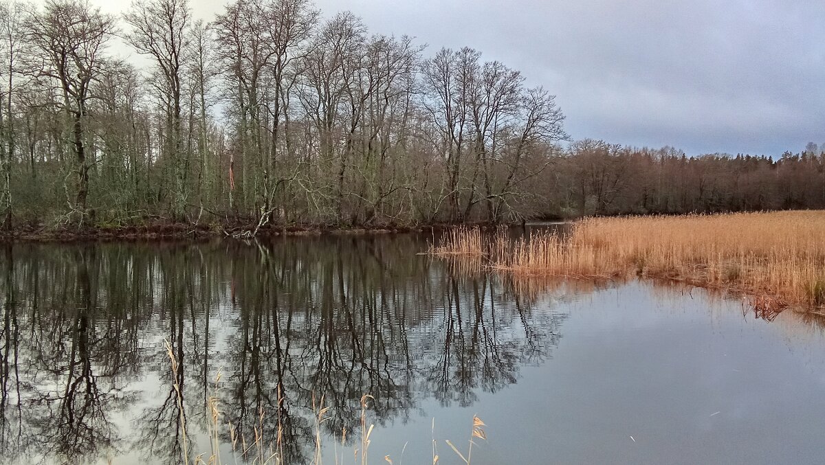 *** - Ольга Попова (popova/j2011)