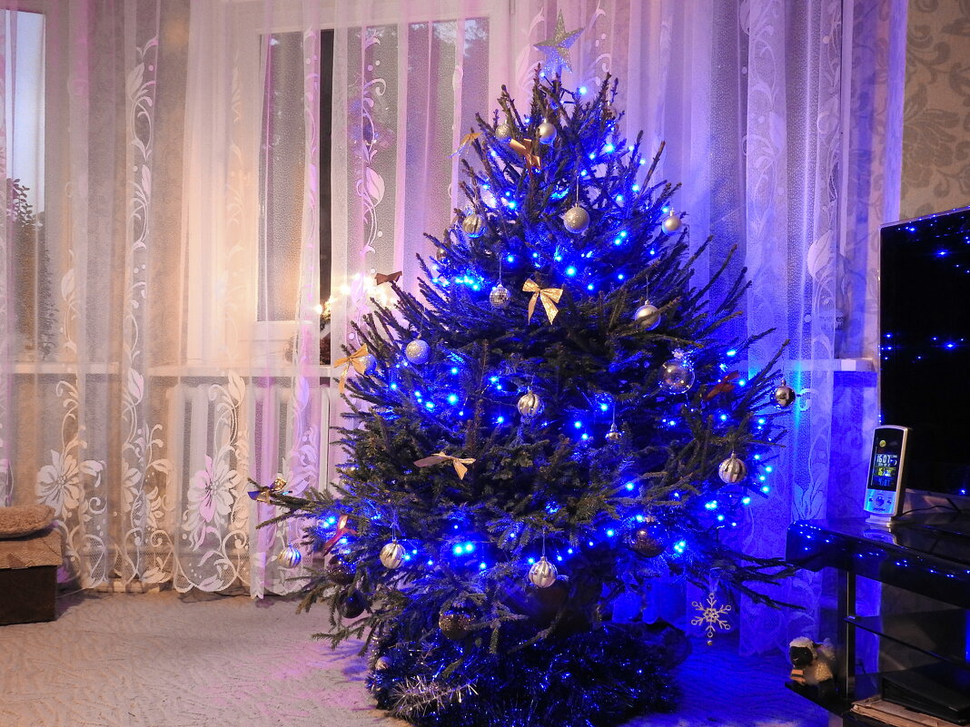 новогодние зарисовки - ИННА ПОРОХОВА