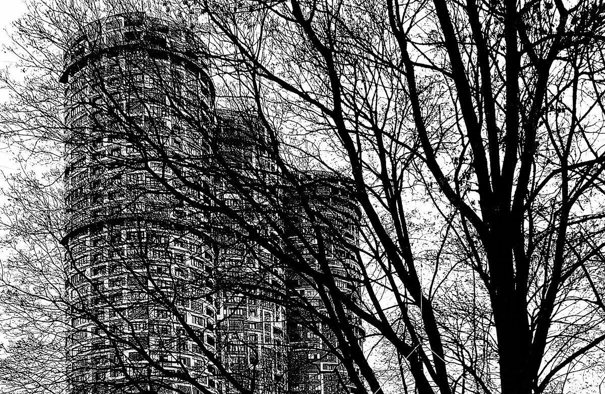 Три башни. Монохром. - Василий Палий