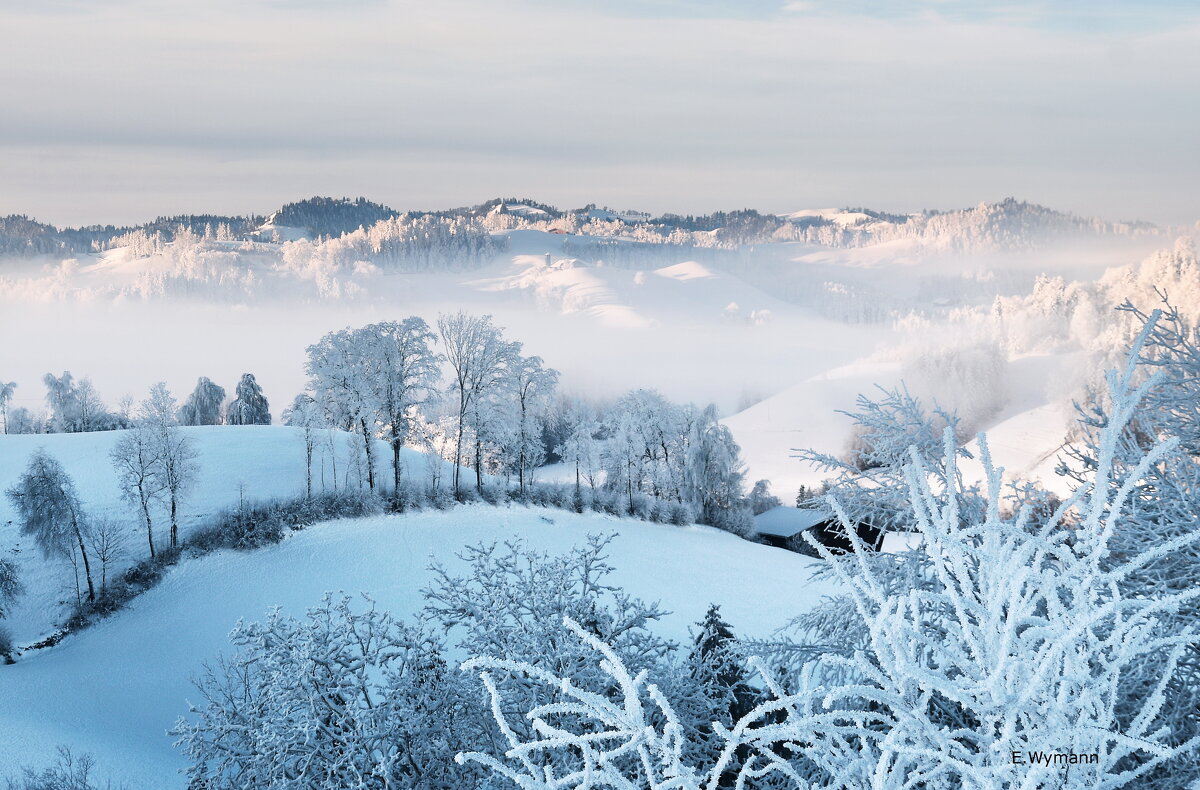 winter view - Elena Wymann