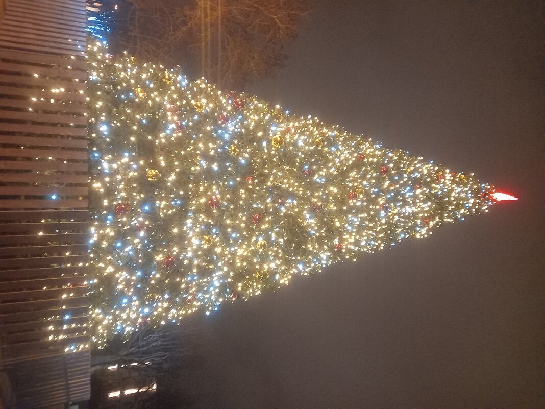 Ёлка - Сапсан 