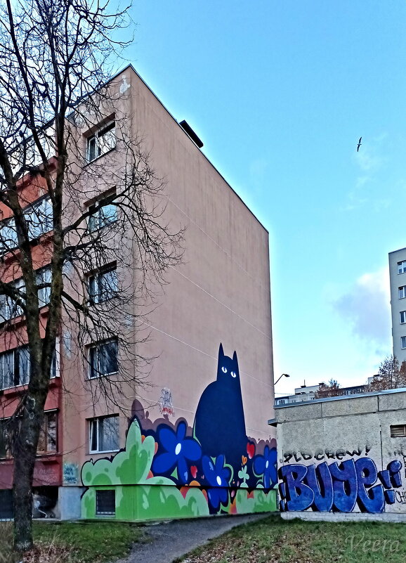 „Черный кот на цветочном лугу“ - Veera V