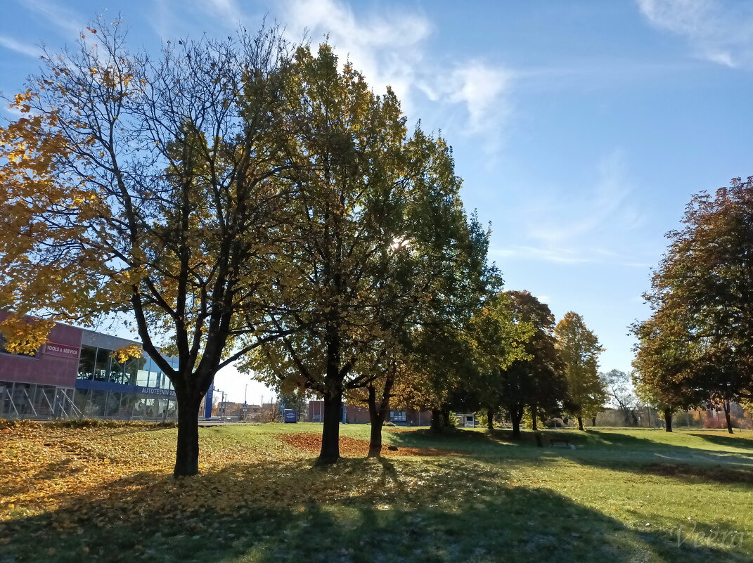 Октябрь - Veera V