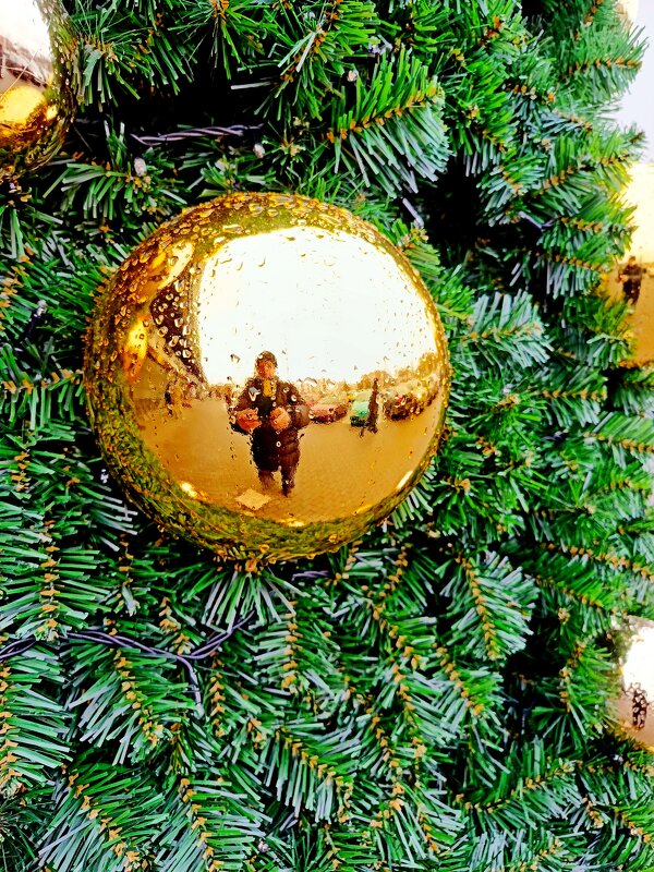 Вглядываясь в елочный шарик.... - Vladimir Semenchukov