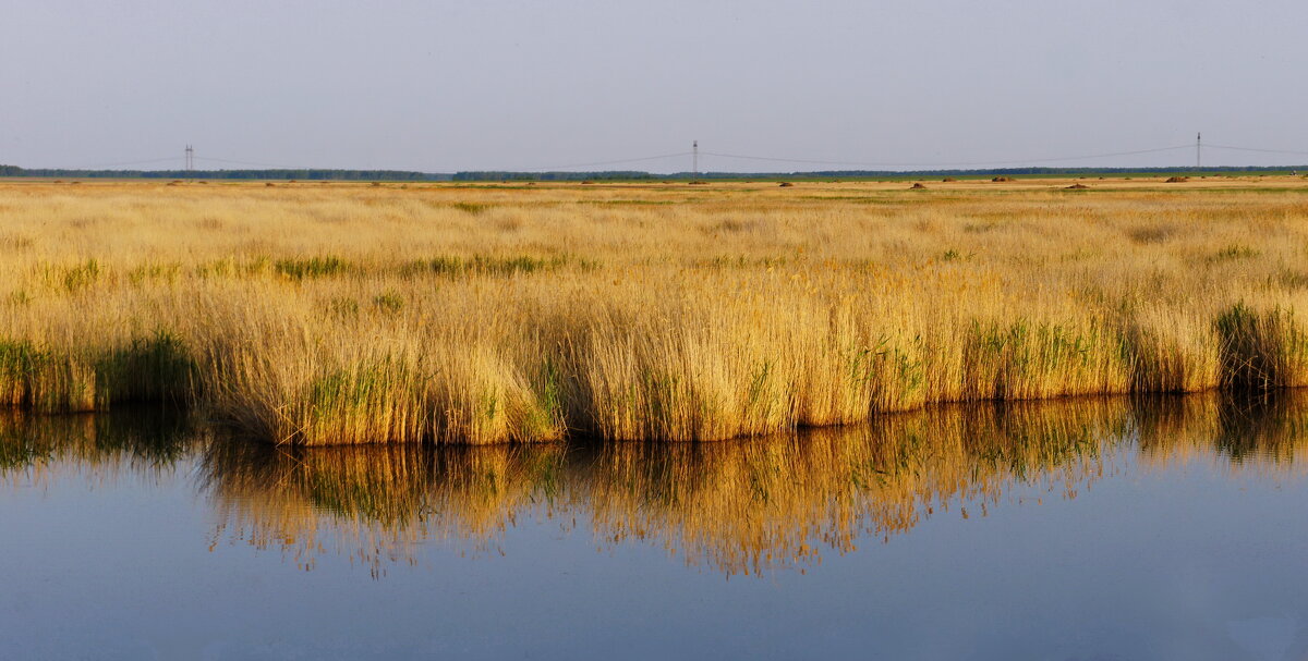 Весенний пейзаж. - сергей ермошкин