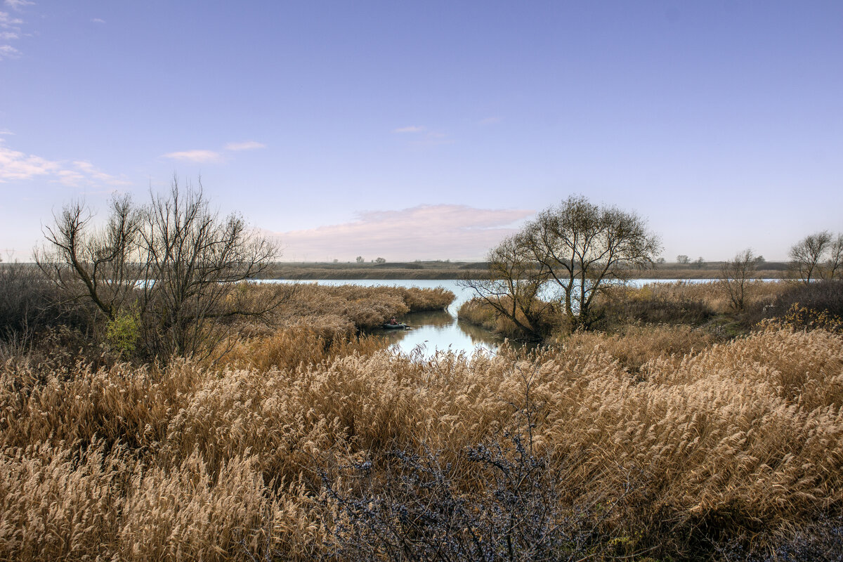 Мертвый Донец. - Александр. AVG100 ---