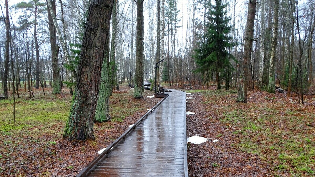 Такая зима! - Милешкин Владимир Алексеевич 