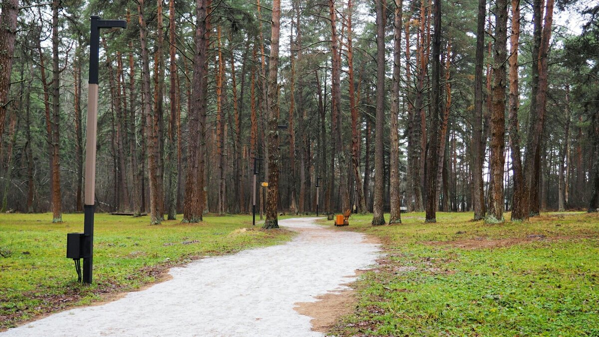 Такая зима. - Милешкин Владимир Алексеевич 