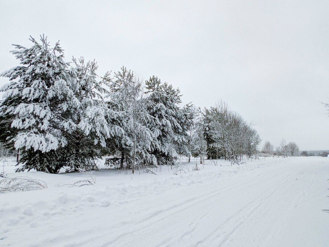 Уютная,снежная прогулка - Анастасия Логинова