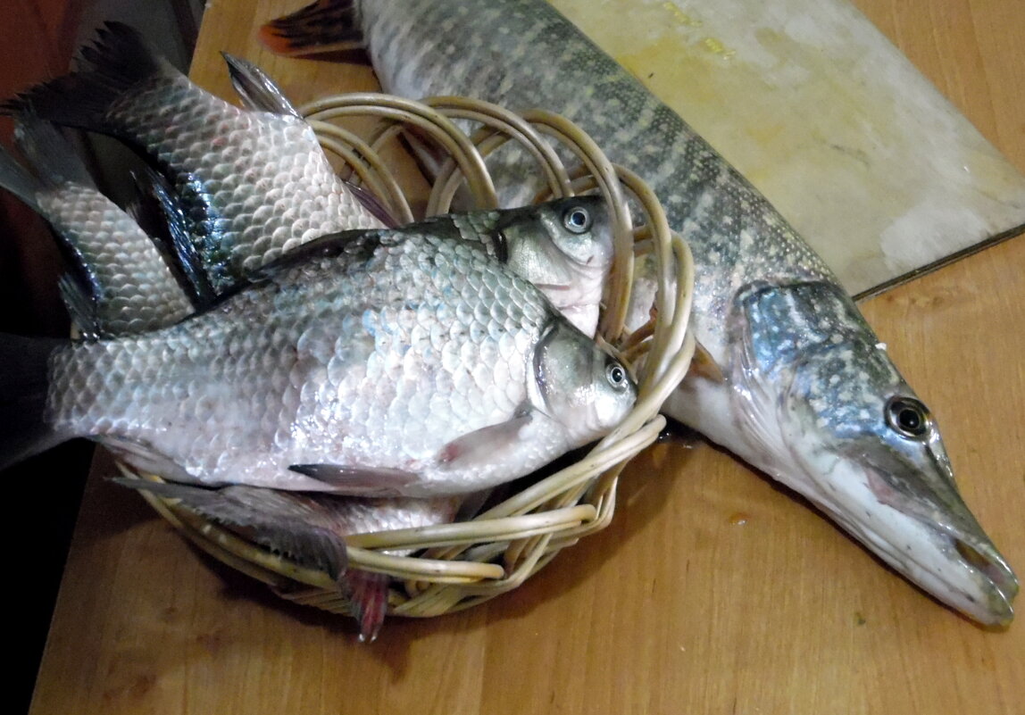 Рыбный день. - nadyasilyuk Вознюк