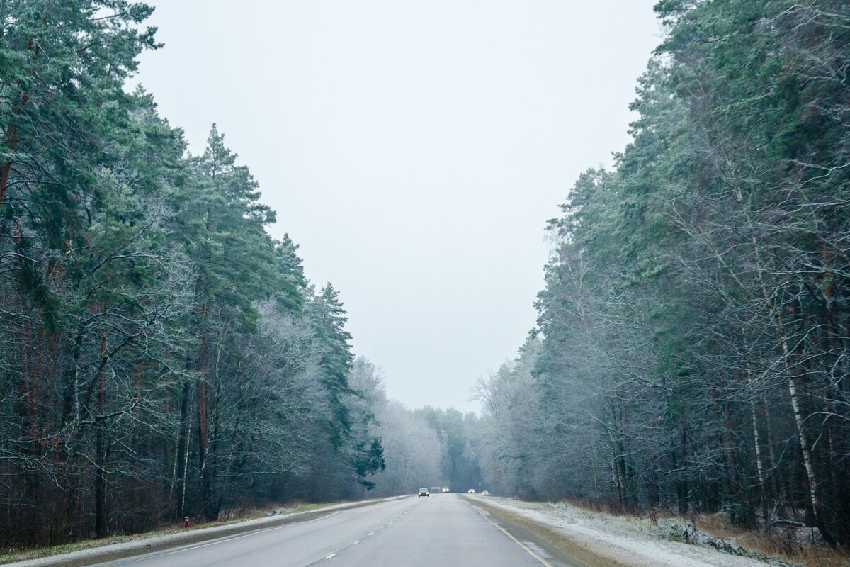 ____ - Галина Ложечникова