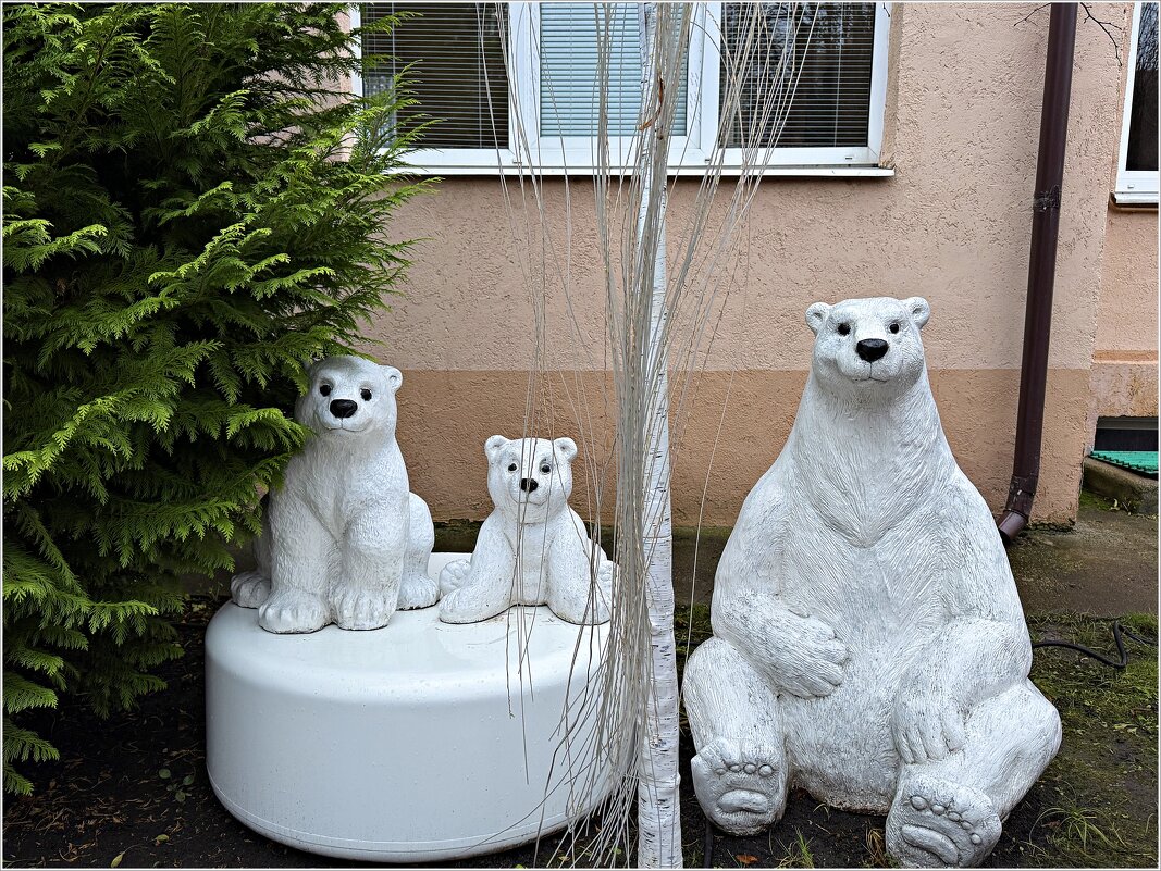 Зеленоградские мишки. - Валерия Комова