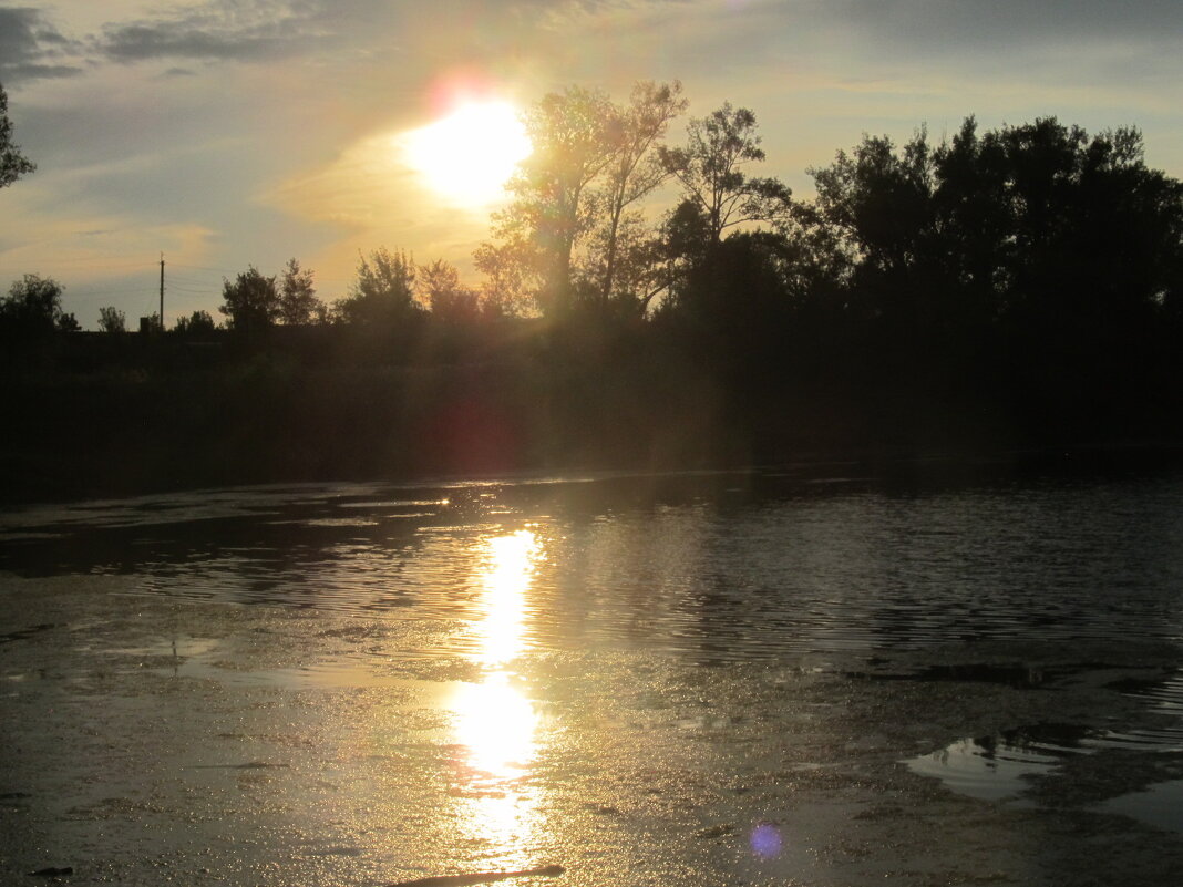 закат за городом - Елена Шаламова