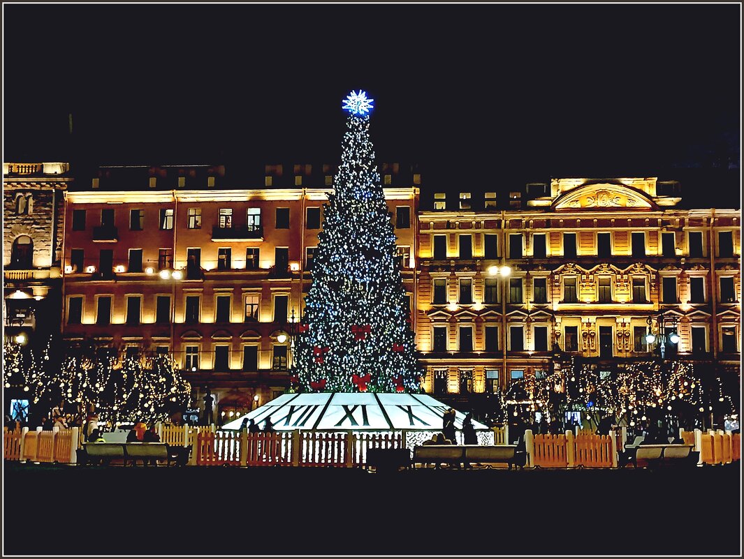 Питерские ёлки. - Лия ☼