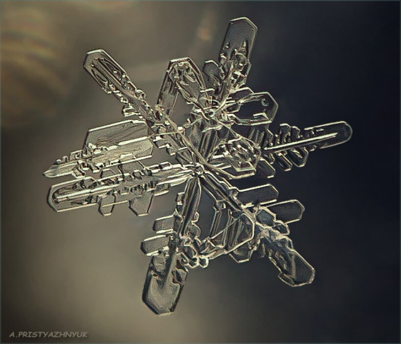 Снежинка - Андрей Пристяжнюк