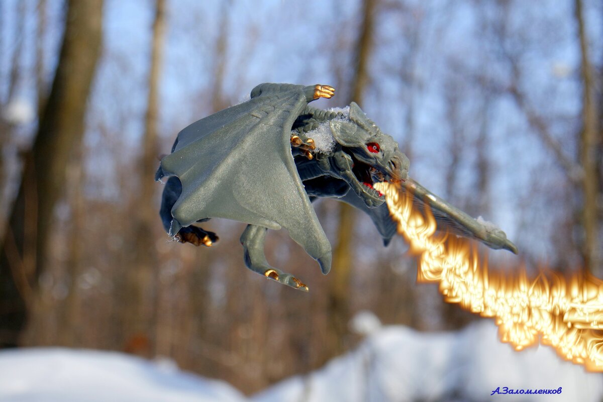 Зимний лес всегда полон неожиданностей...:-) - Андрей Заломленков