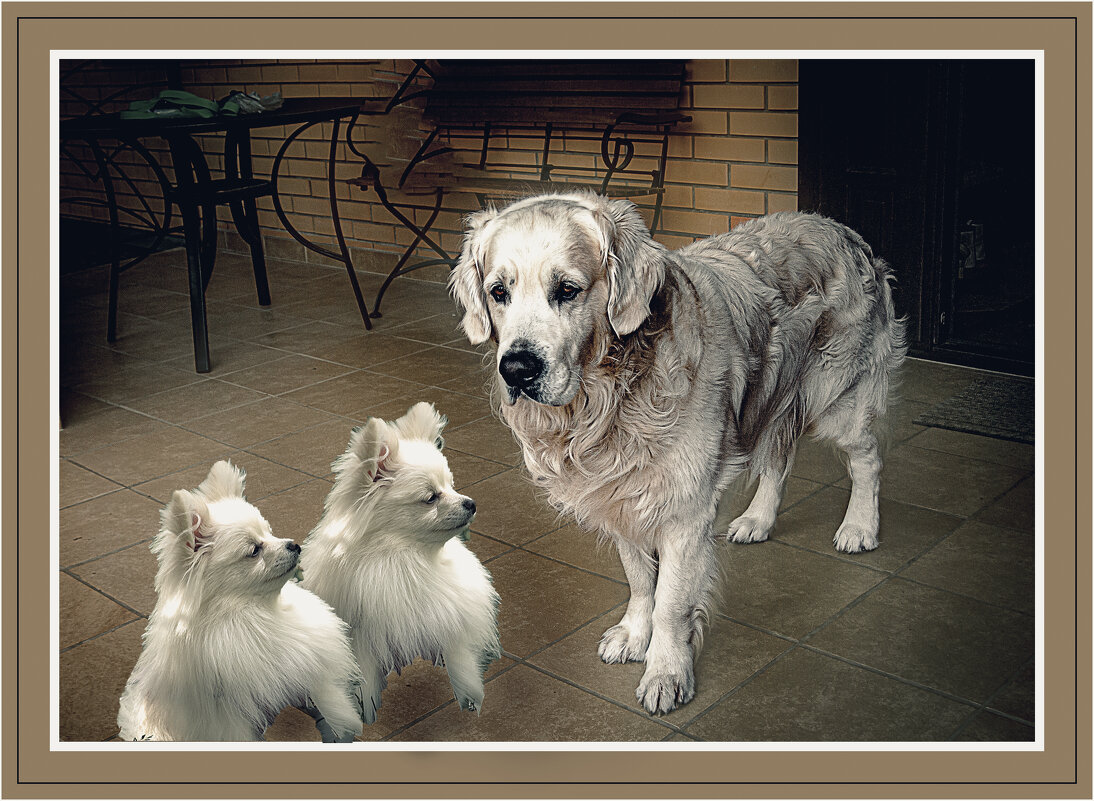 На зарядку становись! - Владимир Кроливец
