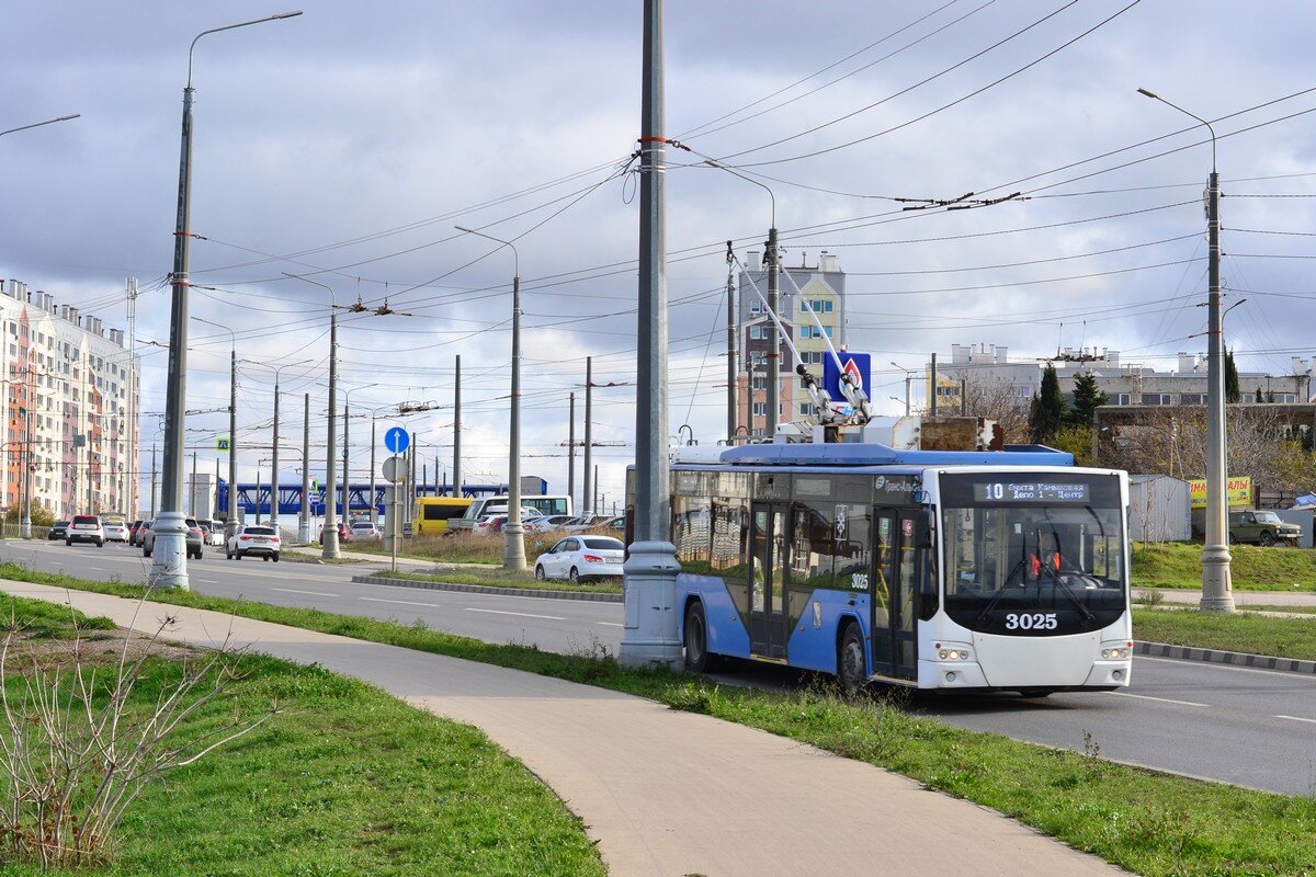 Камышовое шоссе - Александр Рыжов