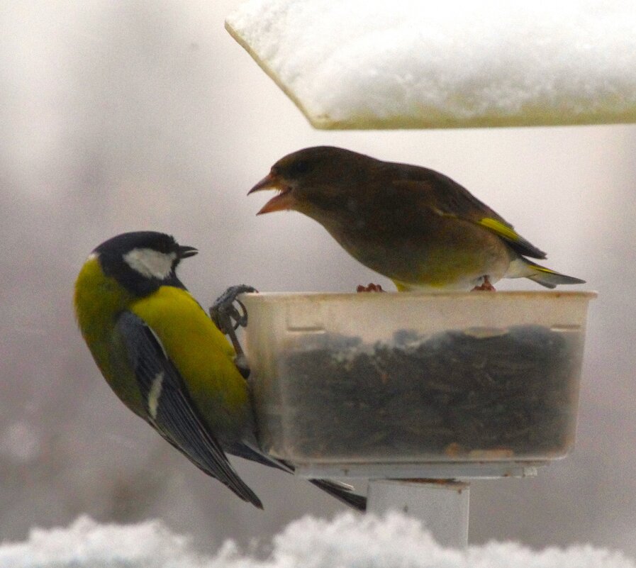 ... - Юрий Куликов