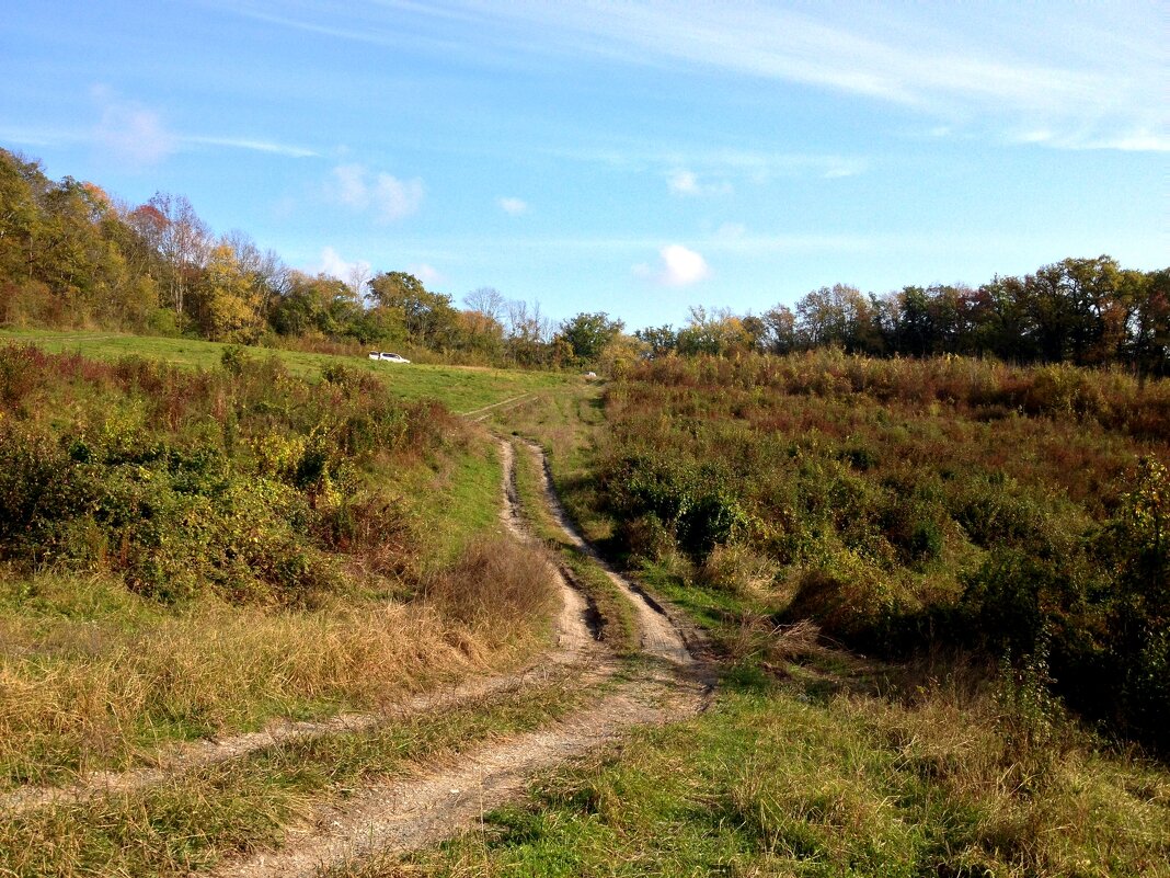 Поляна по дороге на Орлиные скалы - Tata Wolf