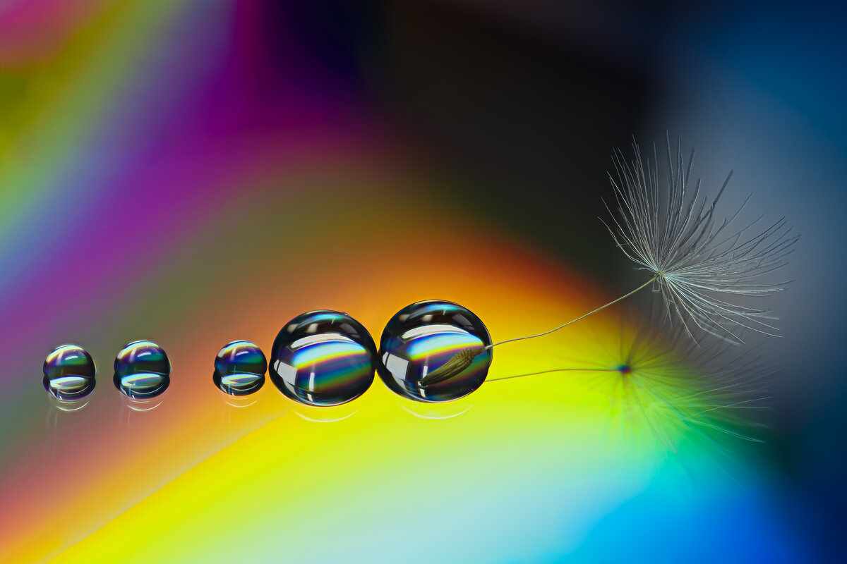 Найди себе радугу - Игорь Шевченко