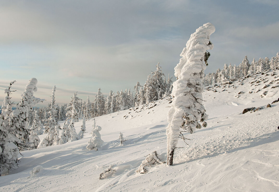 В снежном наряде - Сергей Герасимов