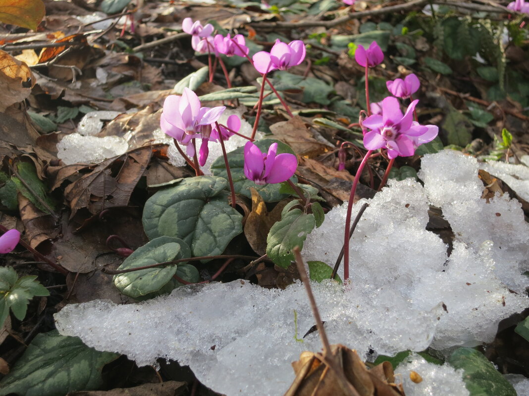 И такое бывает - Валерий 