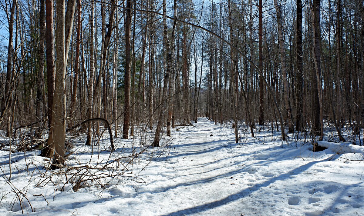 *** - веселов михаил 
