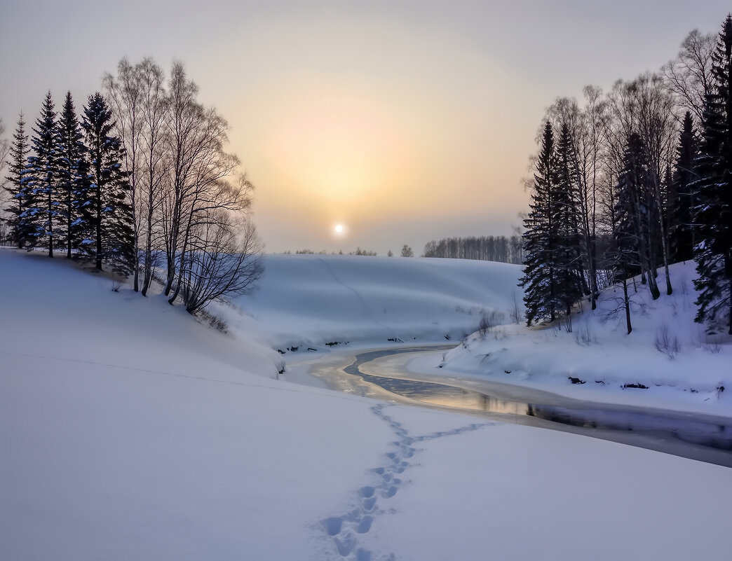 Тишина зимнего вечера - Юрий Лев