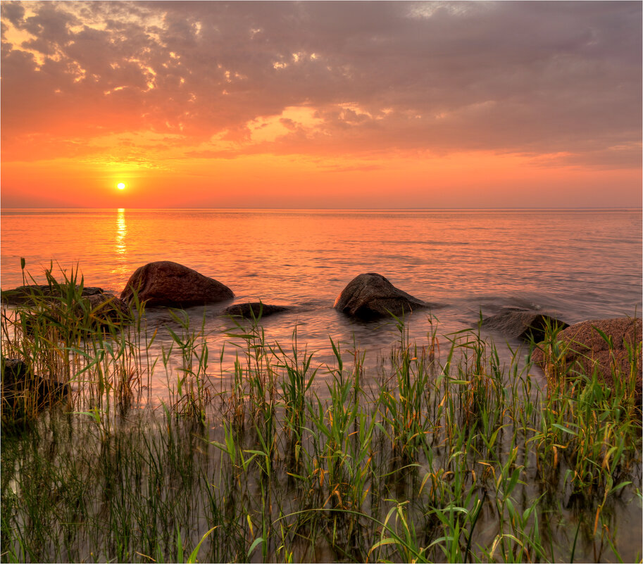 *** - Алексей Говорушкин 