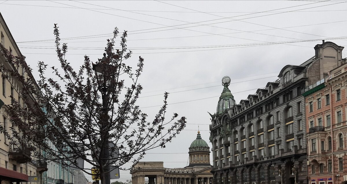 Лето 2025. Июнь - Наталья Герасимова