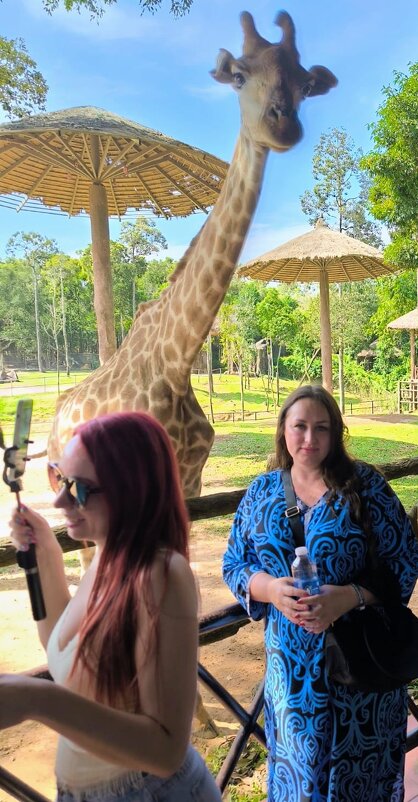 Встреча - Георгиевич 