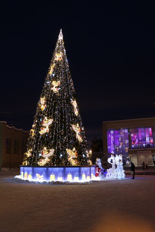 Городская ёлка - Ольга 