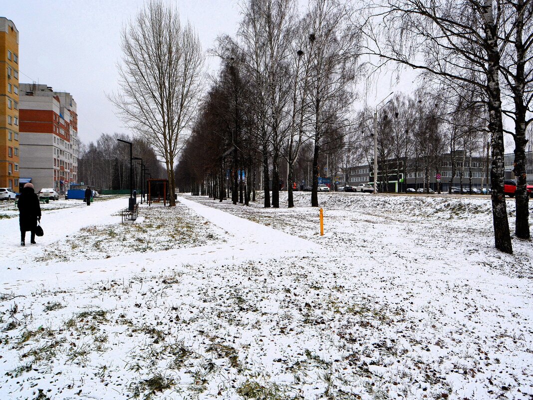 Новочебоксарск. Аллея улицы 10-й Пятилетки в начале зимы. - Пётр Чернега